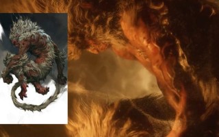 斗戰神金子比例;斗戰神金子比例是多少？