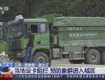 北遷野象群回了玉溪(北遷野象群回了玉溪了嗎)