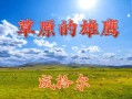 草原雄鷹網站(草原雄鷹網站胡仁烏力格爾大全)
