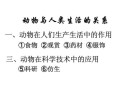 動物與人類的關系(哺乳類動物與人類的關系)