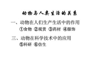 動物與人類的關系(哺乳類動物與人類的關系)