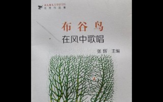 布谷cctv5在線直播;布谷鳥cctv5