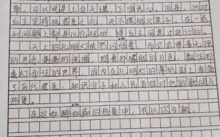 對諸葛亮的評價;對諸葛亮的評價作文
