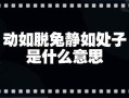 動如脫兔靜如-動如脫兔靜如處子形容女孩子好嗎
