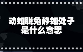 動如脫兔靜如-動如脫兔靜如處子形容女孩子好嗎