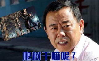 觀眾為了看潘長(zhǎng)江演出爬上樹(觀眾為了看潘長(zhǎng)江演出爬上樹的電影)