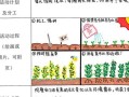 二年級四季農事活動順序-二年級四季農事活動順序答案