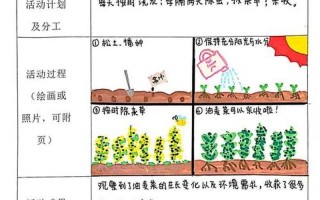 二年級四季農事活動順序-二年級四季農事活動順序答案