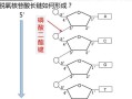 關于dna分子的結構是的信息-關于dna結構的描述錯誤的是