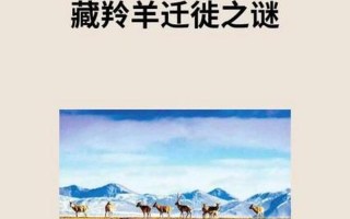 藏羚羊大規(guī)模遷徙_藏羚羊大規(guī)模遷徙的原因